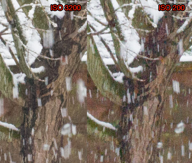 ISO3200-200exp.jpg